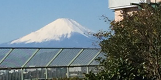 富士山